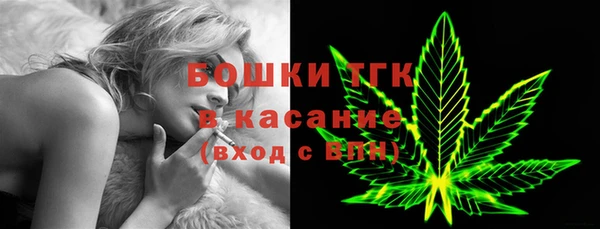 сатива Дмитриев