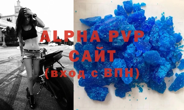 сатива Дмитриев