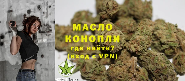 сатива Дмитриев